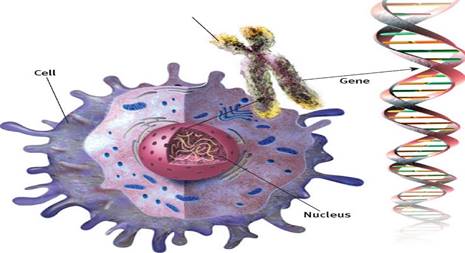 : D:\Indira\inst2015\Myers-D.-G.2010.-Psychology-9th-edition2.files rasmla\image189.jpg